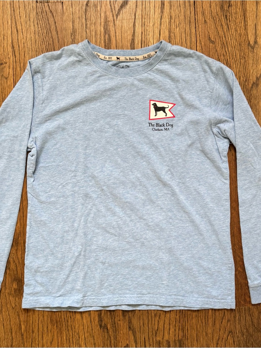 The Black Dog Sky Blue Crewneck Tee with Logo Print